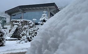 Chalet Cityxpress Zell Am See
